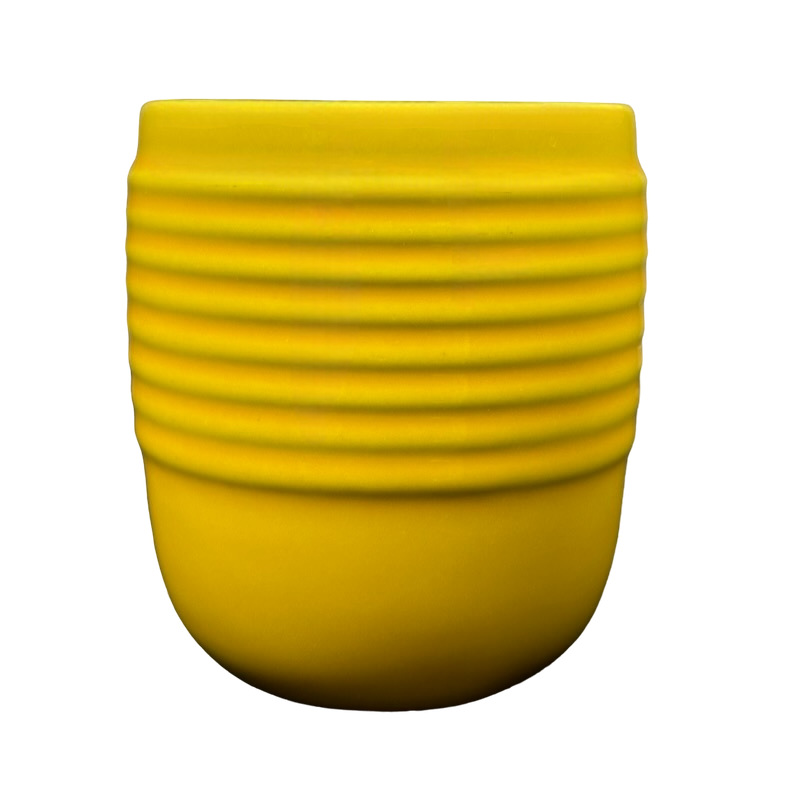 Beehive Yellow Mug Bosco Ware