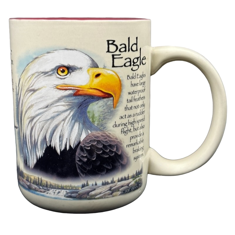 American Expedition Explore And Discover Bald Eagle Mug