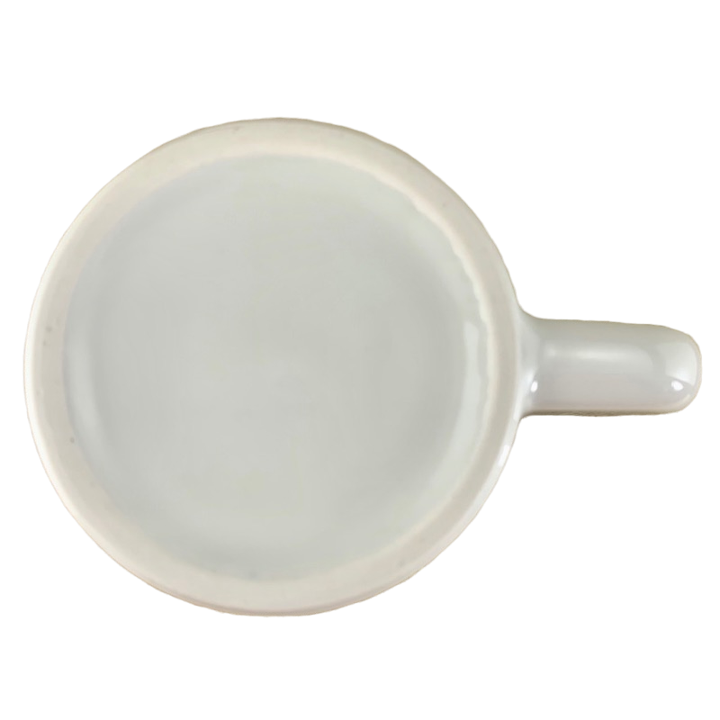 Northrop Flying Wing Signatures Envelope Mug