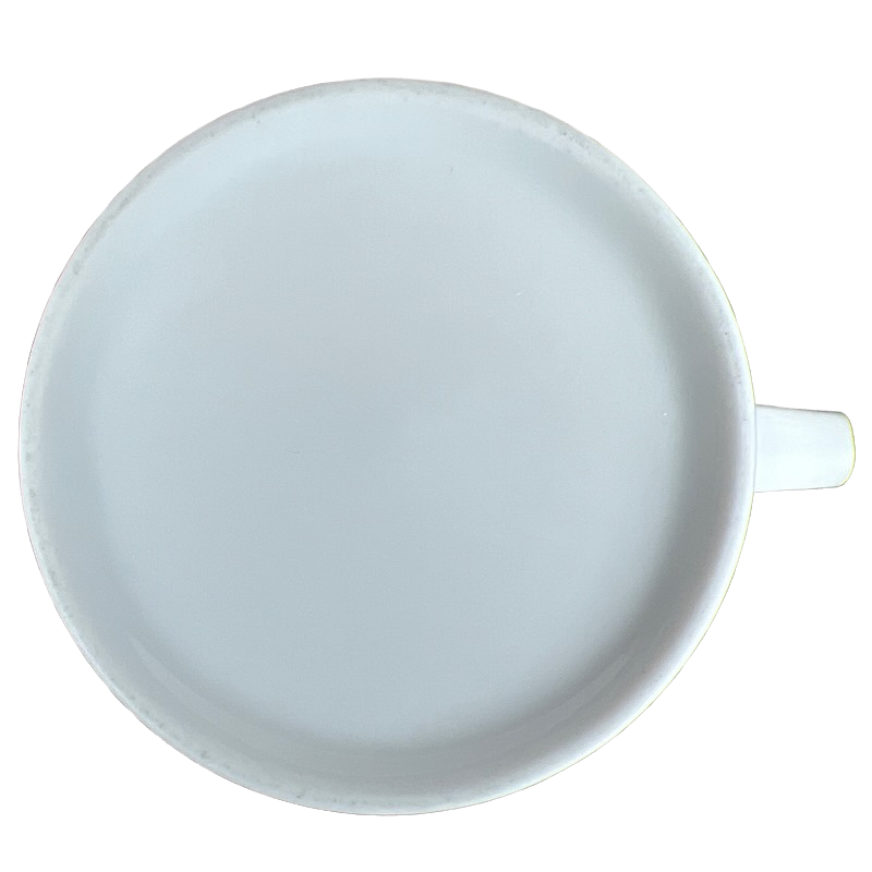 Cat In Control Erika Oller Mug