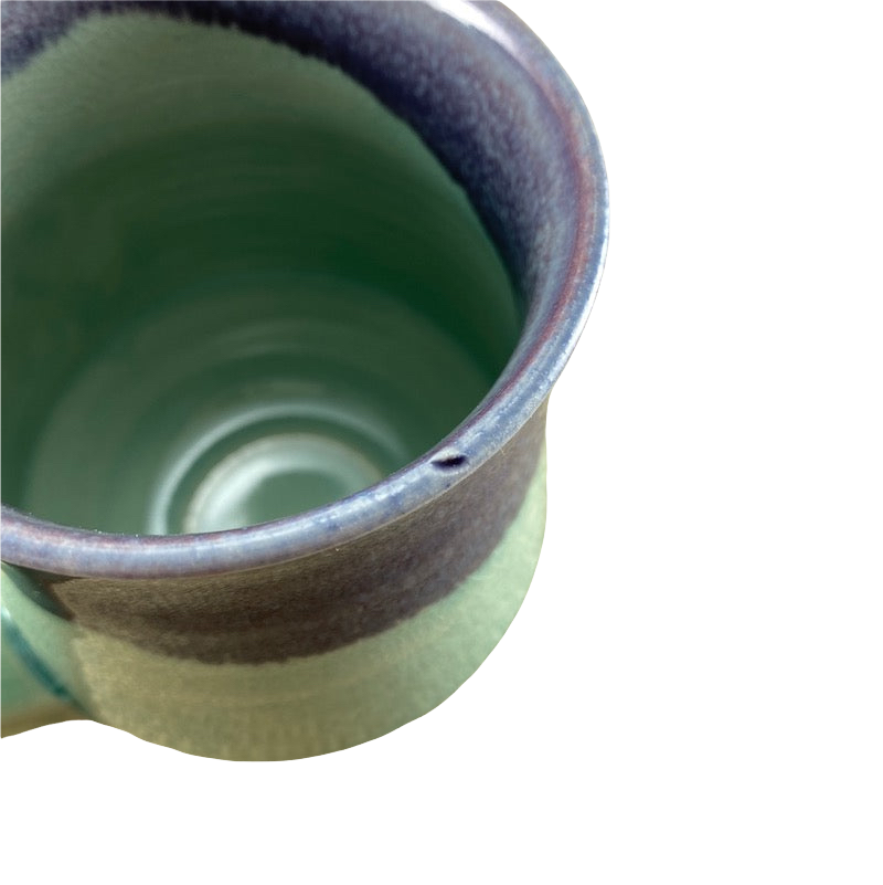 Embossed Turtle Hand Thrown Pottery Mug Scott Wilson Pottery