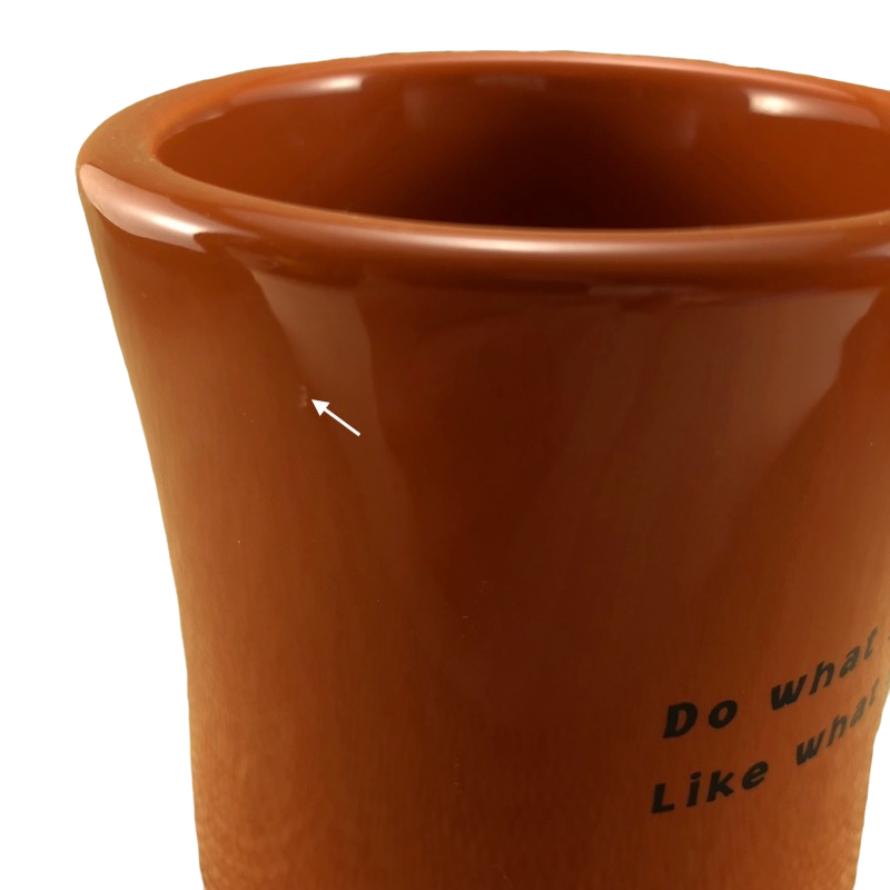 Life Is Good Man Leaning On Dog Orange Mug