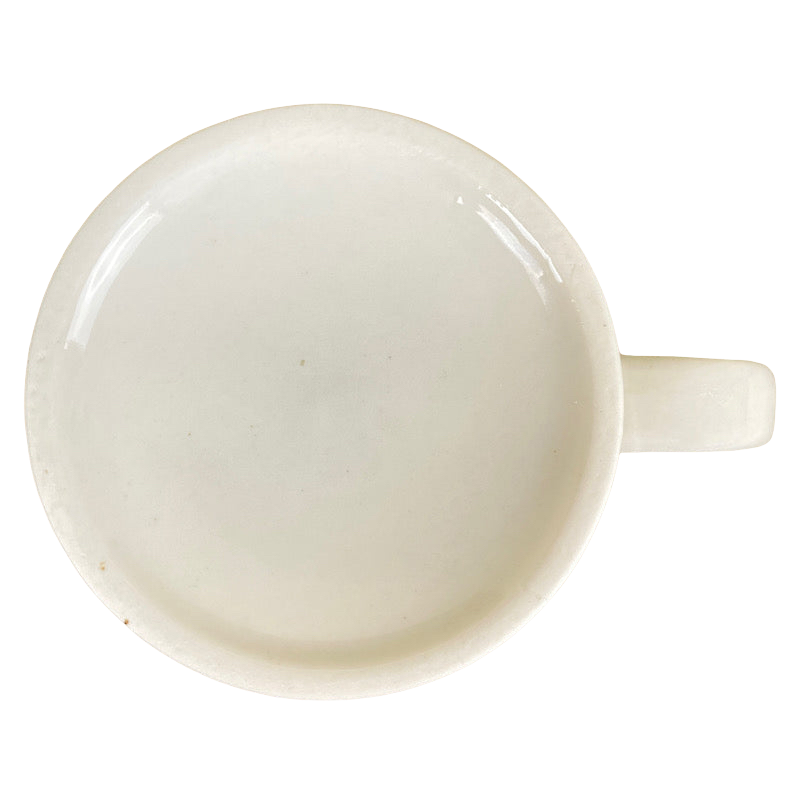 The Crocodile Hunter Steve Irwin Australia Zoo Mug