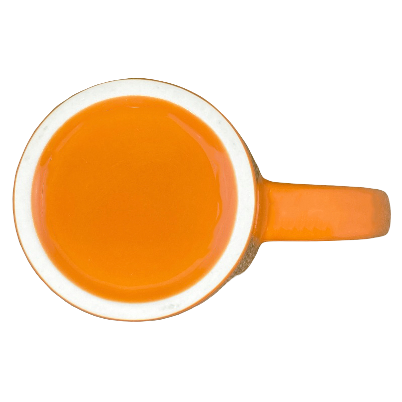 Yellowstone Park Floral Tall Orange Mug