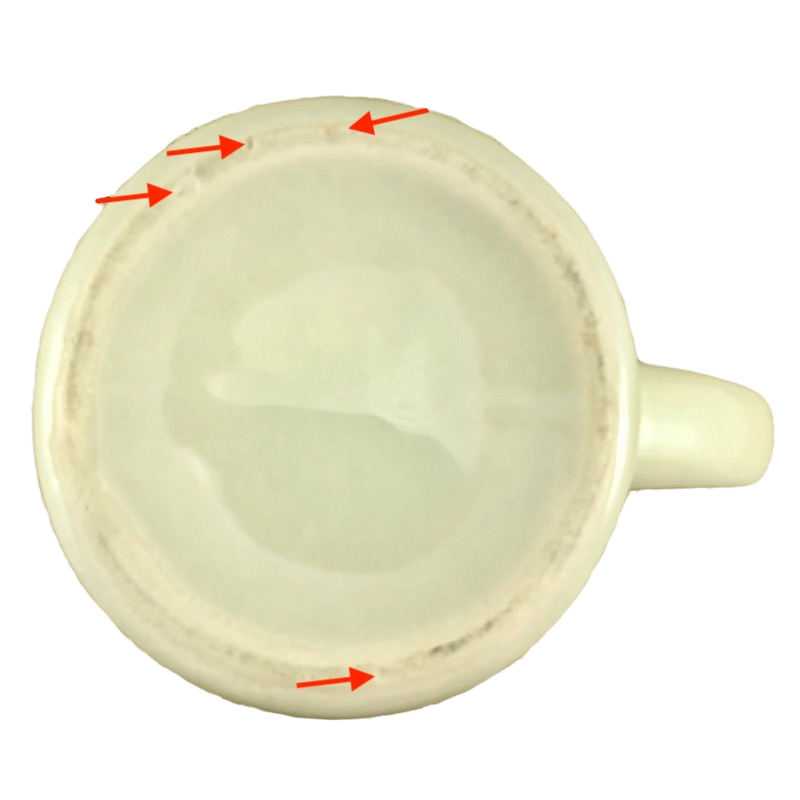 Vintage Canoe Co. Mug G.H. Bass & Co.