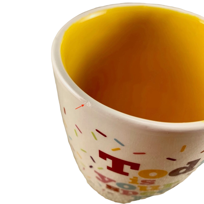 Today is Your Special Day Mug Hallmark NEW