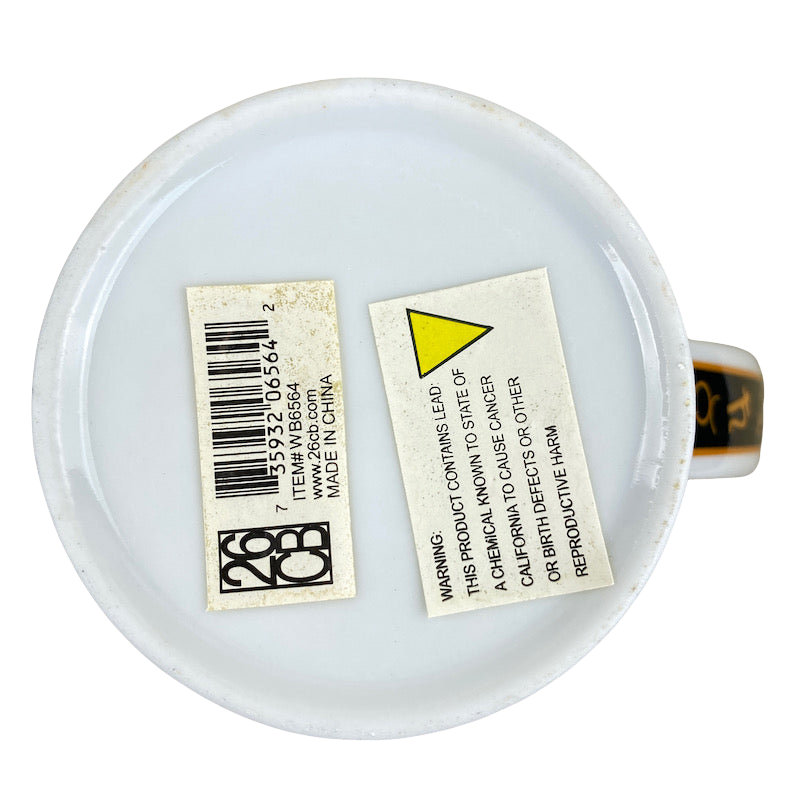 Pisces The Fishes Zodiac Astrology Tall Mug 26CB NEW