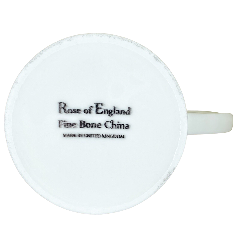 I'm Over The Rainbow Today Birds Mug Rose Of England