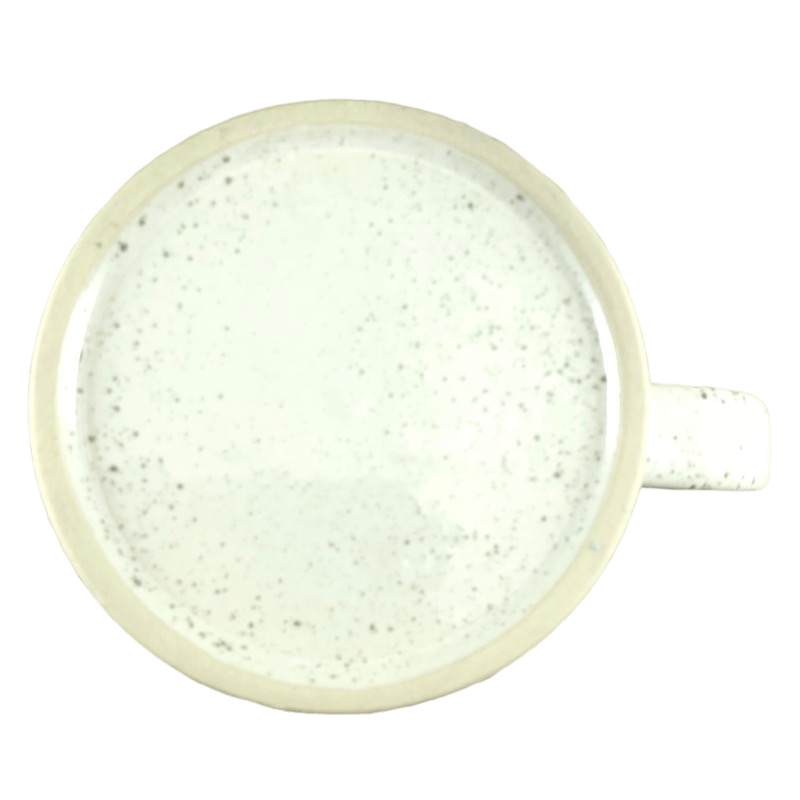 The Penguin Encounter Speckled Etched Mug SeaWorld