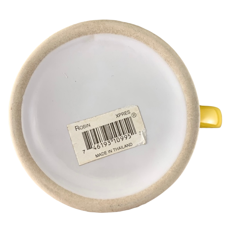 ROBIN 3D Embossed Rainbow Name Mug