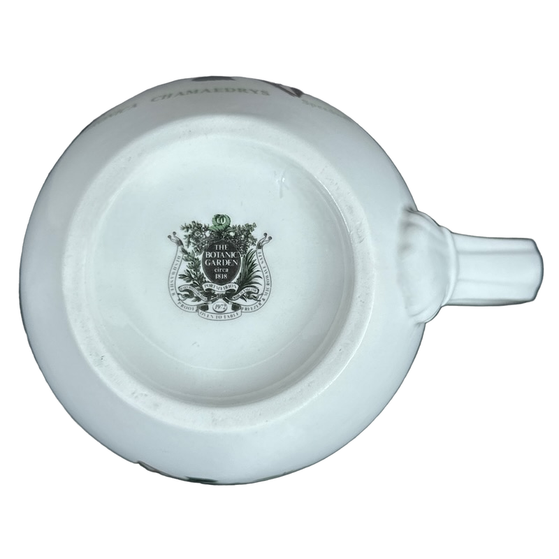 Veronica Chamaedrys Speedwell The Botanic Garden Round Mug Portmeirion