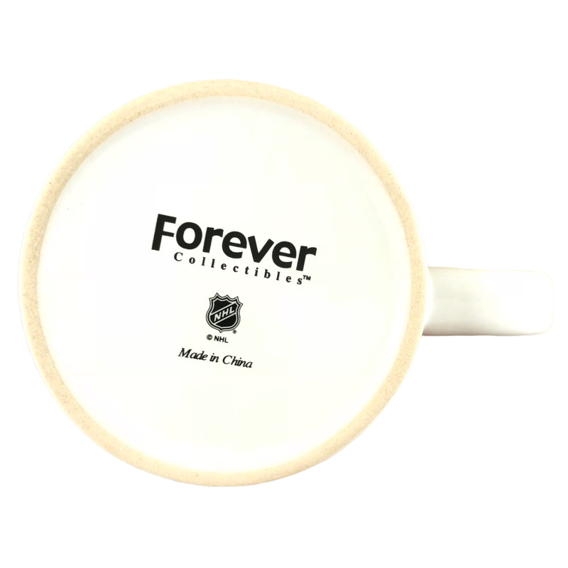 Chicago Blackhawks 2015 Stanley Cup Champions Mug Forever Collectibles