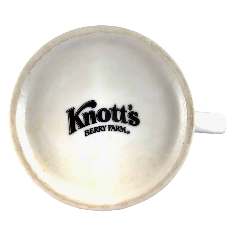 Peanuts Snoopy & Woodstock I Think I'm Allergic To Mornings Knott's Berry Farm Mug Peanuts Worldwide