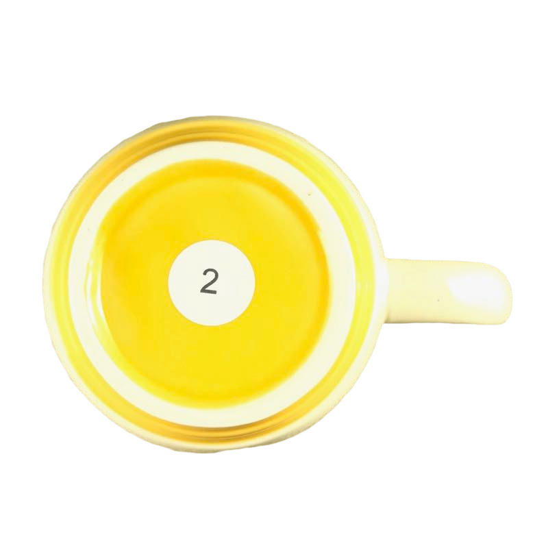 Panama City Beach Florida Mug