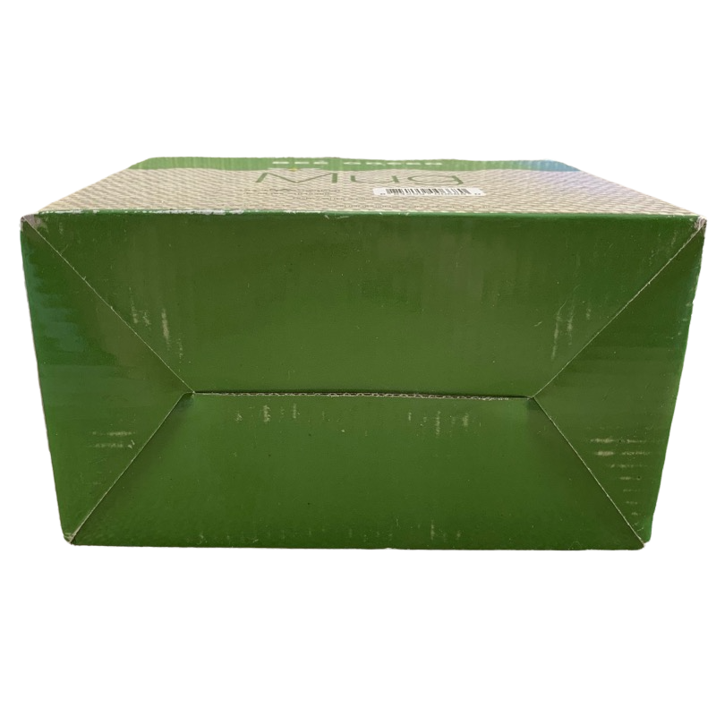 Bee Green Mug NEW IN BOX