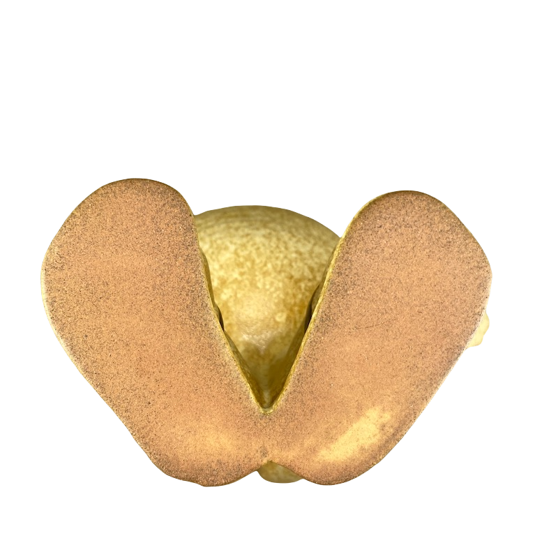 Yellowstone Park Figural Legs And Feet Pottery Style Mug