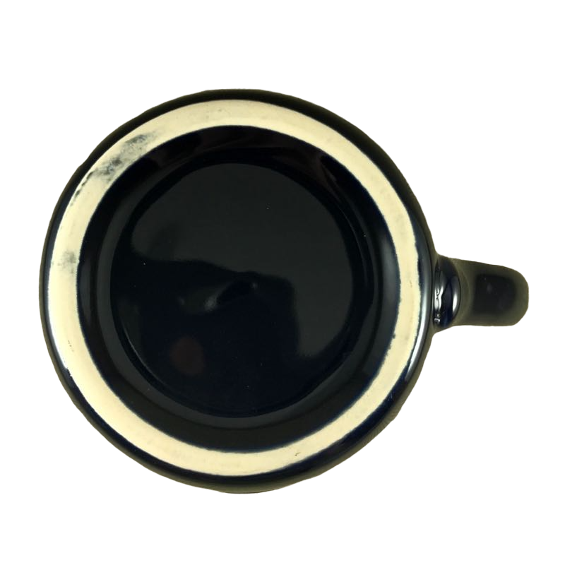 San Diego Zoo Embossed Polar Bear Mug