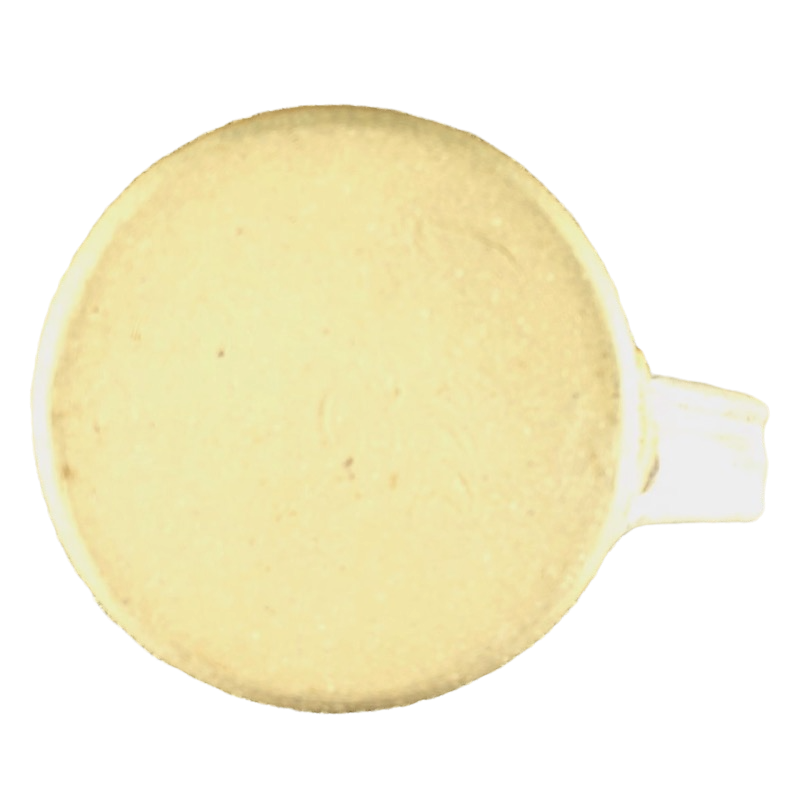 Grand Canyon Railway Wheel Thrown Pottery Mug