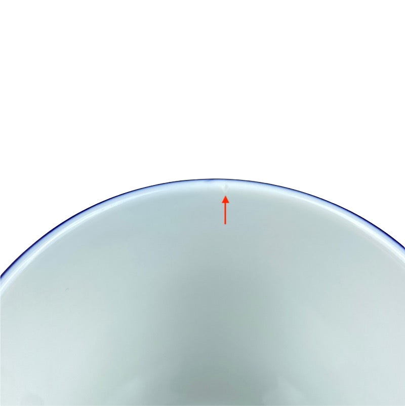 Butterfly Blossom Mug Pier 1 Imports