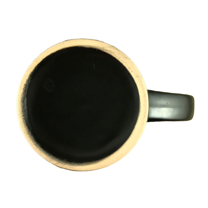 USAFP 2010 New Orleans Mug