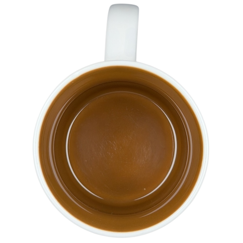 2013 Starbucks Switzerland Global Icon mug with a smooth brown interior and classic design