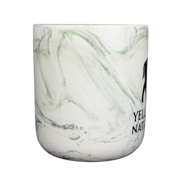 Yellowstone National Park Bison Etched Marble Mug