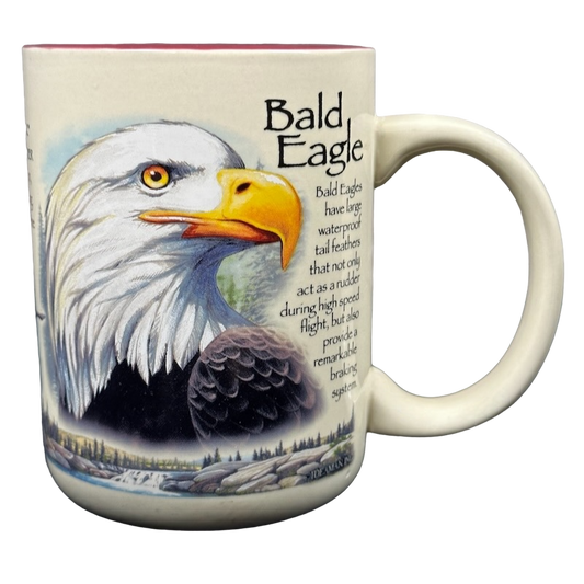 American Expedition Explore And Discover Bald Eagle Mug