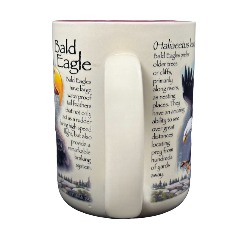 American Expedition Explore And Discover Bald Eagle Mug – Mug Barista
