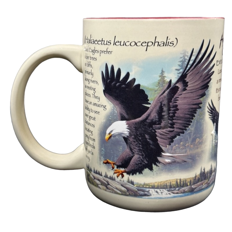 american expedition stoneware coffee mugs American Expedition Explore And Discover Bald Eagle Mug – Mug Barista