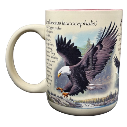 American Expedition Explore And Discover Bald Eagle Mug