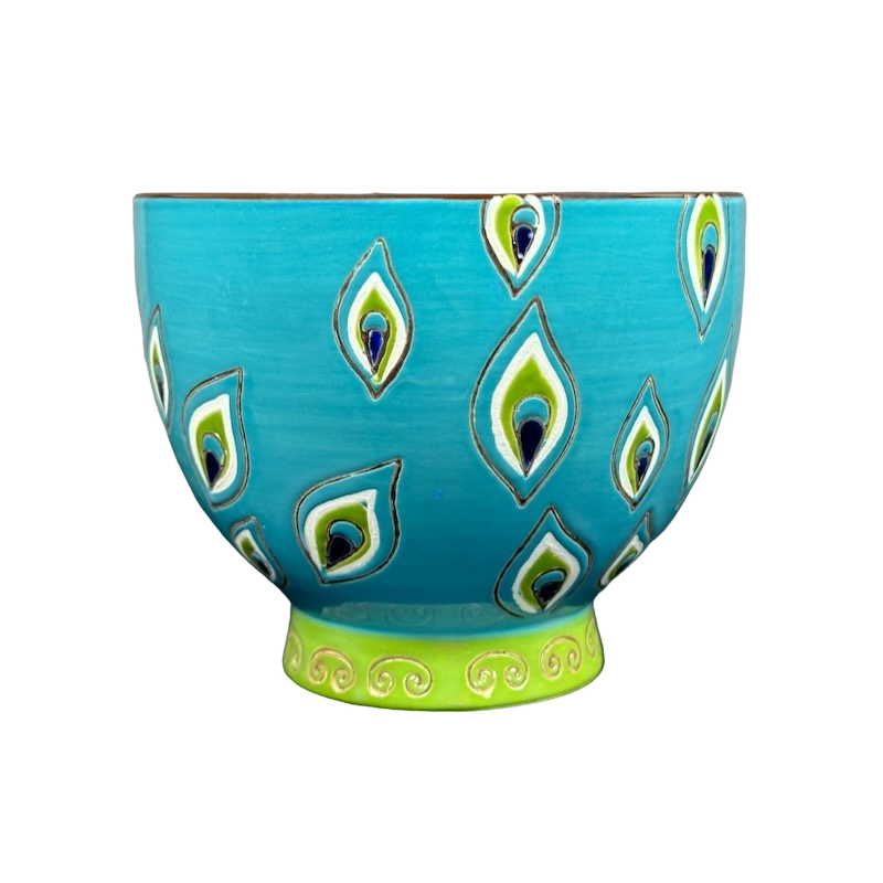 Peacock Feathers Hand Painted Pedestal Mug Pier 1 Imports