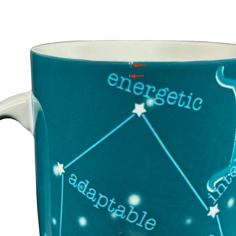 GEMINI Tall Zodiac What's Your Sign Mug Coventry
