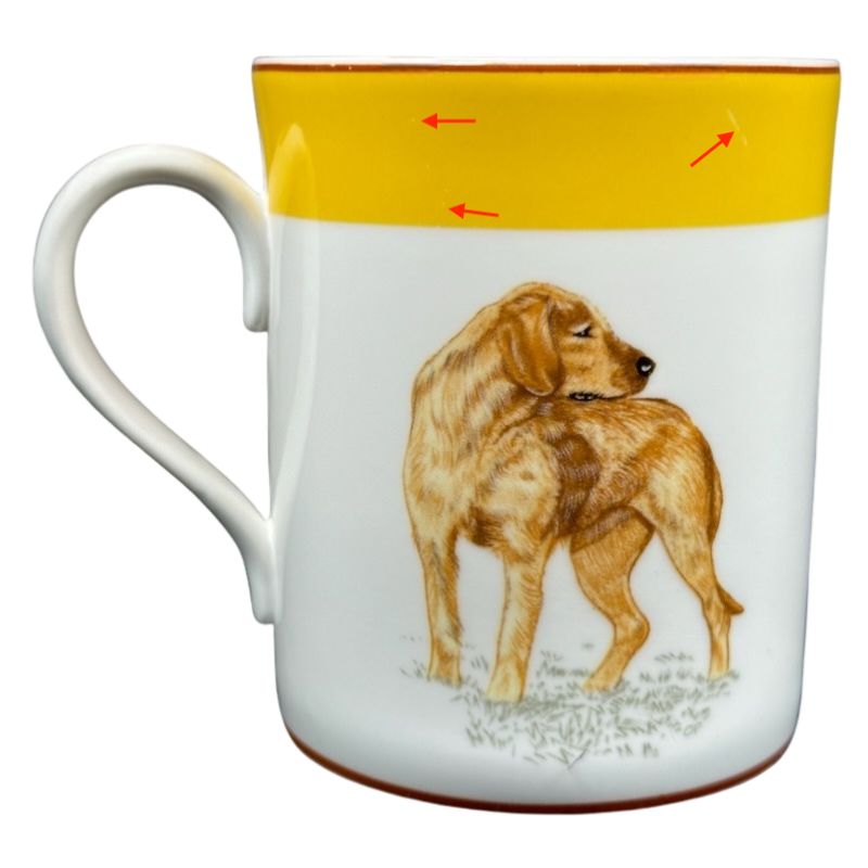 Griffon Fauve de Bretagne Dog Mug Hermes