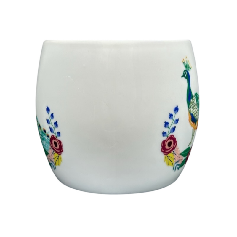 Stunner Peacock Mug Opal House