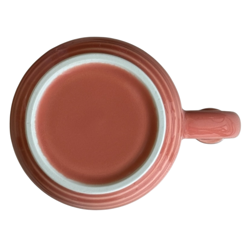 Good Morning America Colorways ThumbPrint Salmon Mug Blue Interior Green Thumb Lindt Stymeist