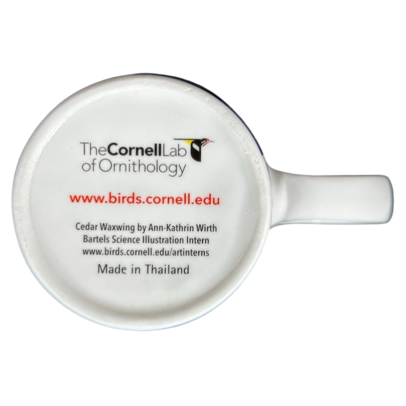 The Cornell Lab Of Ornithology Cedar Waxwing By Ann-Kathrin Wirth Mug