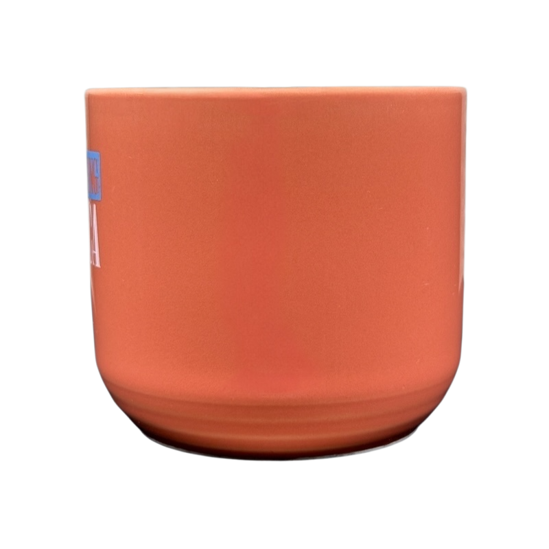 Good Morning America Colorways ThumbPrint Salmon Mug Blue Interior Green Thumb Lindt Stymeist