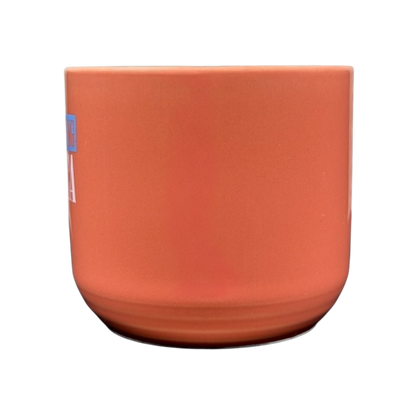 Good Morning America Colorways ThumbPrint Salmon Mug Blue Interior Green Thumb Lindt Stymeist