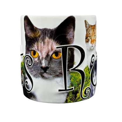 Cats Rule 3D Embossed Mug Americaware