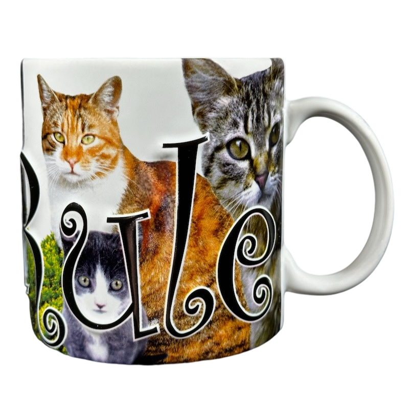 Cats Rule 3D Embossed Mug Americaware