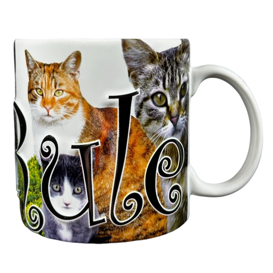 Cats Rule 3D Embossed Mug Americaware