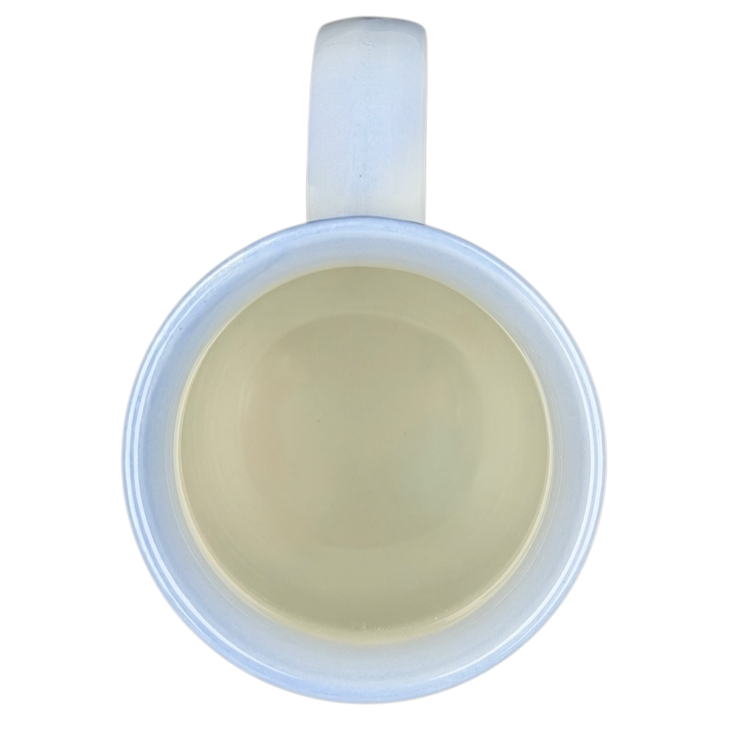 Seashells And Sand Dollars Mug Otagiri