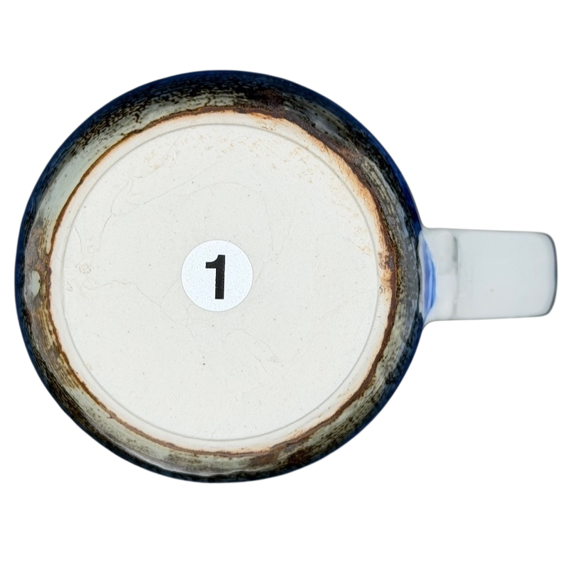 Seashells And Sand Dollars Mug Otagiri