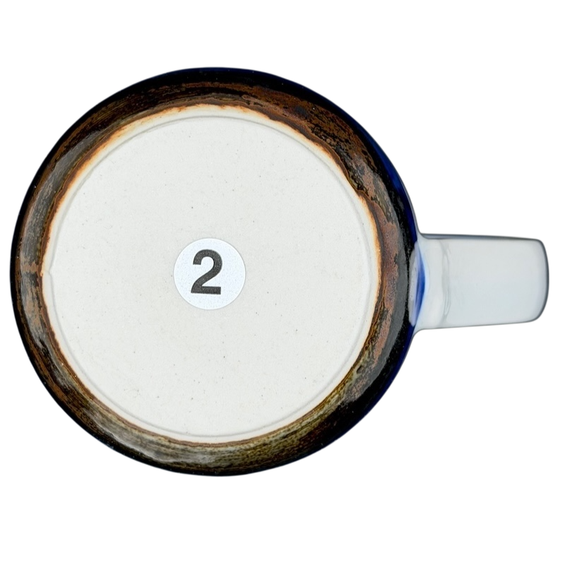 Seashells And Sand Dollars Mug Otagiri