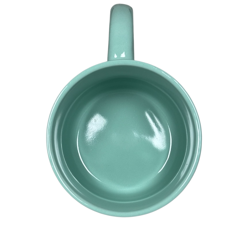 Gemini Astrology Zodiac Etched Mug Wild Sage