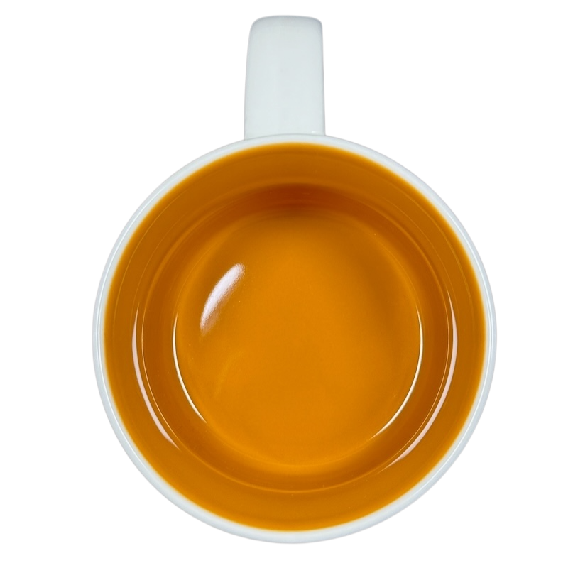 You Are Here Collection Texas 14oz Mug 2015 Starbucks