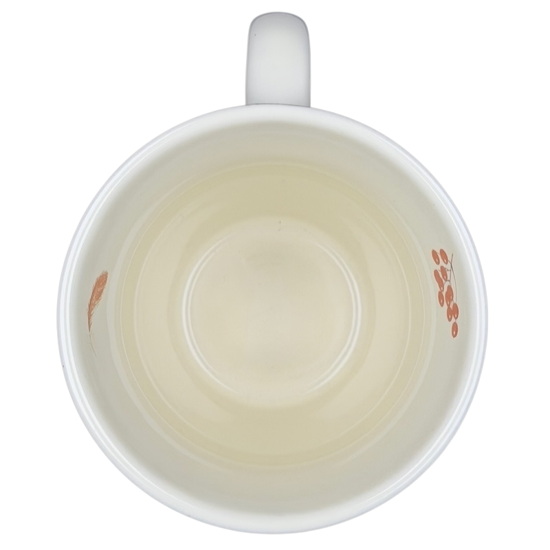 American Robin Mug CJ Wildlife