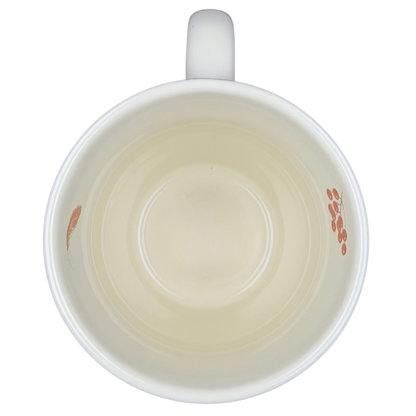 American Robin Mug CJ Wildlife