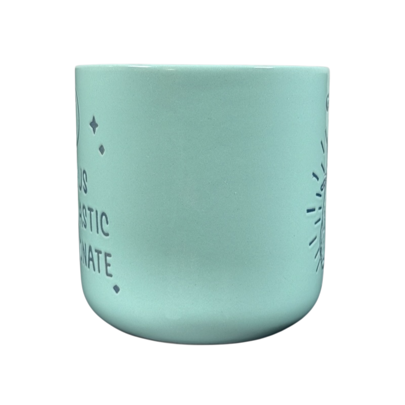 Gemini Astrology Zodiac Etched Mug Wild Sage