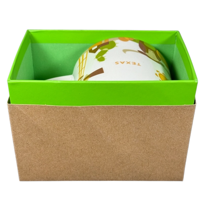 You Are Here Collection Texas 14oz Mug 2015 Starbucks